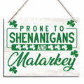 St Patrick's Day Wood Hanging Sign Prone to Shenanigans Green Decor by Deal US