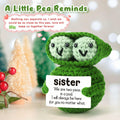 LEJIAJINW Handmade Mini Peas Gift for Sister Best Friend Cute Valentine by Deal US