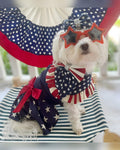 Fitwarm 100% Cotton Holiday Make A Wish Dog Dress Black Size XXS by Deal US