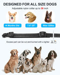 No Shock Dog Training Collar Remote Vibrate Safe Lock Waterproof Black by Deal US