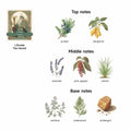 LunaLoved Candle for Tarot The Hermit, Juniper Lavender Scented Candles, GREEN by Deal US