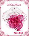 Kidukso Fascinators Hat Vintage 1923s Derby Mesh Veil Feathers Rose Red by Deal US