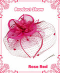 Kidukso Fascinators Hat Vintage 1923s Derby Mesh Veil Feathers Rose Red by Deal US