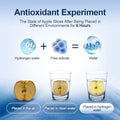 BAVAP Hydrogen Water Bottle Generator 14.1oz Smart Over 2000 ppb by Deal US