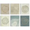 Anyzal Tree Ring Canvas Wall Art 6 Panels Gray 8x10 inches