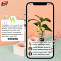 Naiqi Rabbit-Shaped Plant Supports 3 pcs Indoor Garden Propagation by Deal US
