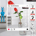Naiqi Rabbit-Shaped Plant Supports 3 pcs Indoor Garden Propagation by Deal US