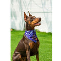 Dog Birthday Party Hats Bandana Double Layer Fabric Large Blue Size L by Deal US