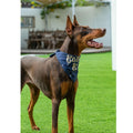 Dog Birthday Party Hats Bandana Double Layer Fabric Large Blue Size L by Deal US