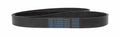D&D DURA-Prime PowerDrive 925K5 Poly V-Belt by Deal US