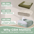 FILO ESTILO Sister Blanket Sherpa 60x50in Sage Green by Deal US