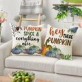 Fall Pumpkin Maple Leaf Pillow Covers 18x18 Set of 4 Autumn Thanksgiving by Deal US