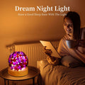 [Like New] Nizrsky Crystal Night Light Home Decor Lamp Purple Agate 0.86lb by Deal US