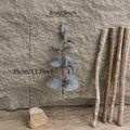 [Like New] KIRIFLY 10pcs Eucalyptus Stems Indoor Greenery Décor GREEN by Deal US