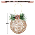 [Like New] Christmas Ball Ornaments 4pc Set Champagne Pinecone Rattan String by Deal US