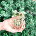 [Like New] Christmas Ball Ornaments 4pc Set Champagne Pinecone Rattan String by Deal US