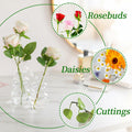 Hewory Glass Bubble Bud Vase Small Clear Glass Flower Vase for Single Stem by Deal US