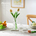 Hewory Glass Bubble Bud Vase Small Clear Glass Flower Vase for Single Stem by Deal US