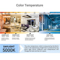 Sunlite LED A15 Refrigerator Bulb 6W 450 Lumens E26 Dimmable Frosted 5000K 1Pack by Deal US