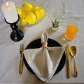 Yourtablecloth Chambray Cloth Napkins Set of 6 Natural 20x20 by Deal US