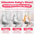 Lalala Baby Black White Sensory Toy with Mirror High Contrast Board Book by Deal US
