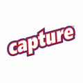 Capture Pet Stain & Odor Neutralizer Spray 32oz Carpet Wood Leather Rug by Deal US