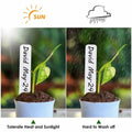 [Like_new] meumtuu 200 PCS White Plastic Plant Labels Garden Markers PVC PVCPL-200W by Deal US