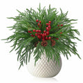 Riceshoot 12 Pcs Norfolk Pine Branches with Red Berries Pine Cones 17.7" Green by Deal US