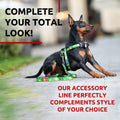 WAUDOG Nylon Dog Leash Heavy Duty 4 Ft for Small Medium Large Dogs by Deal US