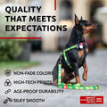 WAUDOG Nylon Dog Leash Heavy Duty 4 Ft for Small Medium Large Dogs by Deal US