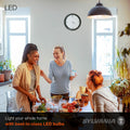 SYLVANIA LED Light Bulb 75W Equivalent A19 12W Medium Base Daylight 1 Pack by Deal US