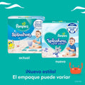 Pampers Splashers Swim Diapers Blue 12 ct Size Small by Deal US