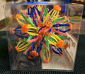 Open Box. ToyPlanet Retract-O Ball Collapsible Multi-Color Plastic Fidget Toy by Deal US