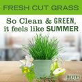 MRS. MEYER'S CLEAN DAY Liquid Hand Soap Fresh Cut Grass Scent 12.5oz by Deal US