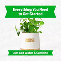 Wellness Grow Kit Lemon Balm Herb Plant Grow Kit 0.75lb Package by Deal US