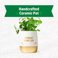 Wellness Grow Kit Lemon Balm Herb Plant Grow Kit 0.75lb Package by Deal US