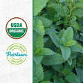 Wellness Grow Kit Lemon Balm Herb Plant Grow Kit 0.75lb Package by Deal US