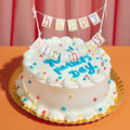 Cobee 2 Pcs Happy Birthday Banner Pull Flag Hanging Flags Party Decor Style B by Deal US