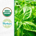 Wellness Grow Kit Basil Indoor Herb Garden Hydroponic System 0.76lb by Deal US