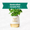 Wellness Grow Kit Basil Indoor Herb Garden Hydroponic System 0.76lb by Deal US