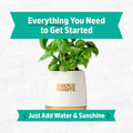 Wellness Grow Kit Basil Indoor Herb Garden Hydroponic System 0.76lb by Deal US