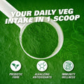 BestBy10/25 EHP Labs OxyGreens Super Greens Powder 30 Serve Strawberry Margarita by Deal US