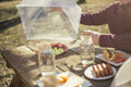 Alysontech Mesh Outdoor Food Cover Tents 6 Pack White Collapsible Pop Up by Deal US