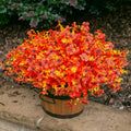 Ivydale Fall Flowers Artificial Mums 12 Bundles UV Resistant Fall-Orange by Deal US