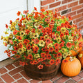 florisso Artificial Fall Mums Outdoor Decoration Orange Yellow 12 Bundles by Deal US