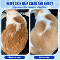 4-in-1 Cat Steam Brush Spritz Defur Comb Indoor Blue Pet Grooming Tool by Deal US