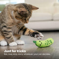 Catstages Crunchy Pickle Kicker Cat Toy with Catnip Dental Mesh Green by Deal US