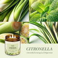 Auelife 12oz Citronella Candle 3 Wick Soy Wax Long Lasting Outdoor Indoor by Deal US