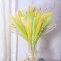 CeiooCei Colorful Pampas Grass Decor 17" White Yellow Light Green Dried by Deal US