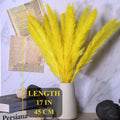CeiooCei Colorful Pampas Grass Decor 17" White Yellow Light Green Dried by Deal US